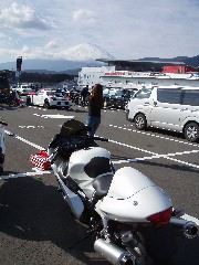 PB290019